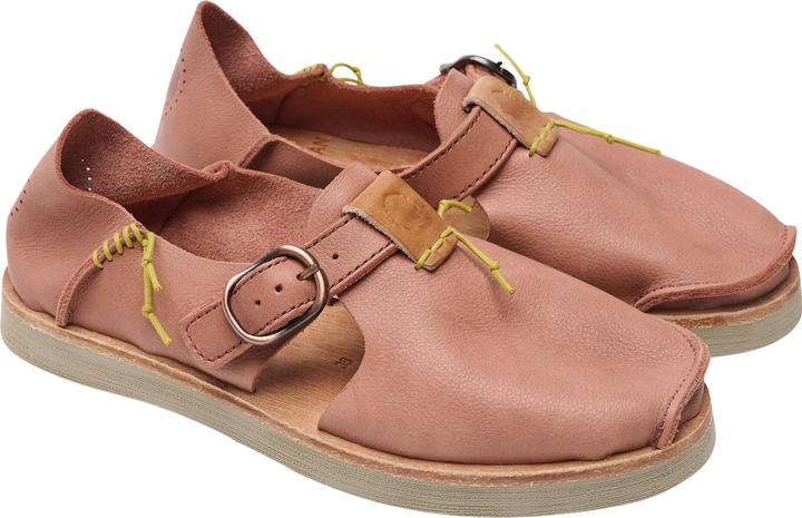 Rosa, terracota bronze