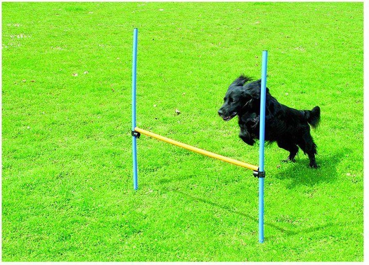 Pawise Ostacolo di agilità di 116 cm di altezza - (636.9002) (Taglia unica, Destrezza)