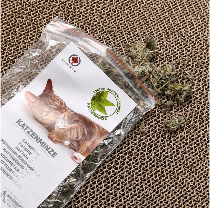 Productafbeelding CanadianCat Comet XL krabplank, donkergrijs (8 cm, Donkergrijs)