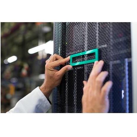 HPE DL320 GEN11 NS204I-U NVME-STOCK, Server Zubehör