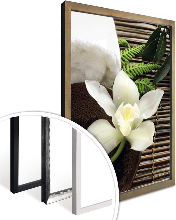 Produktbild Trenddeko Wellness Orchidee (50 x 60 cm)
