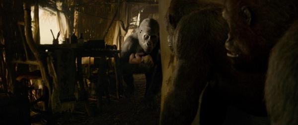 Produktbild Legend of Tarzan (4k Blu-ray, 2016, Deutsch)