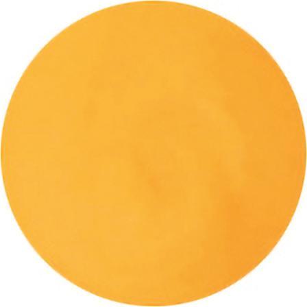 Immagine prodotto Jesmonite Pigmenti colorati giallo scuro, 10g (Giallo sole)