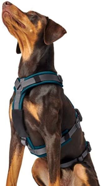 Actual product image Hunter Safety harness (Dog, Walks)