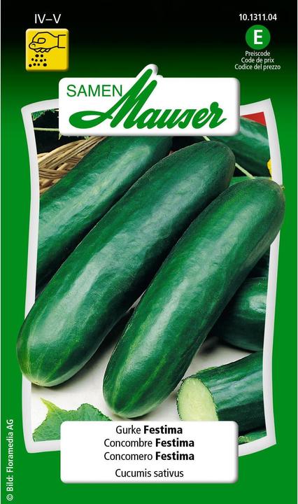 Festima (Vegetable seeds)