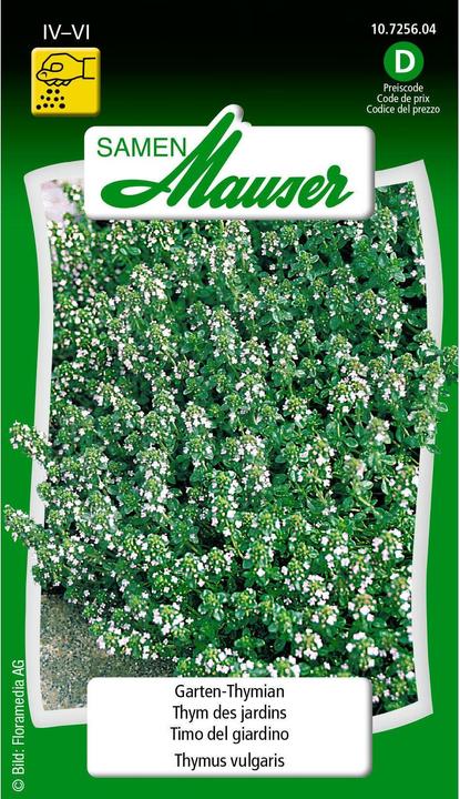Image du produit Samen Mauser Thym des jardins (Graines d'herbes aromatiques)