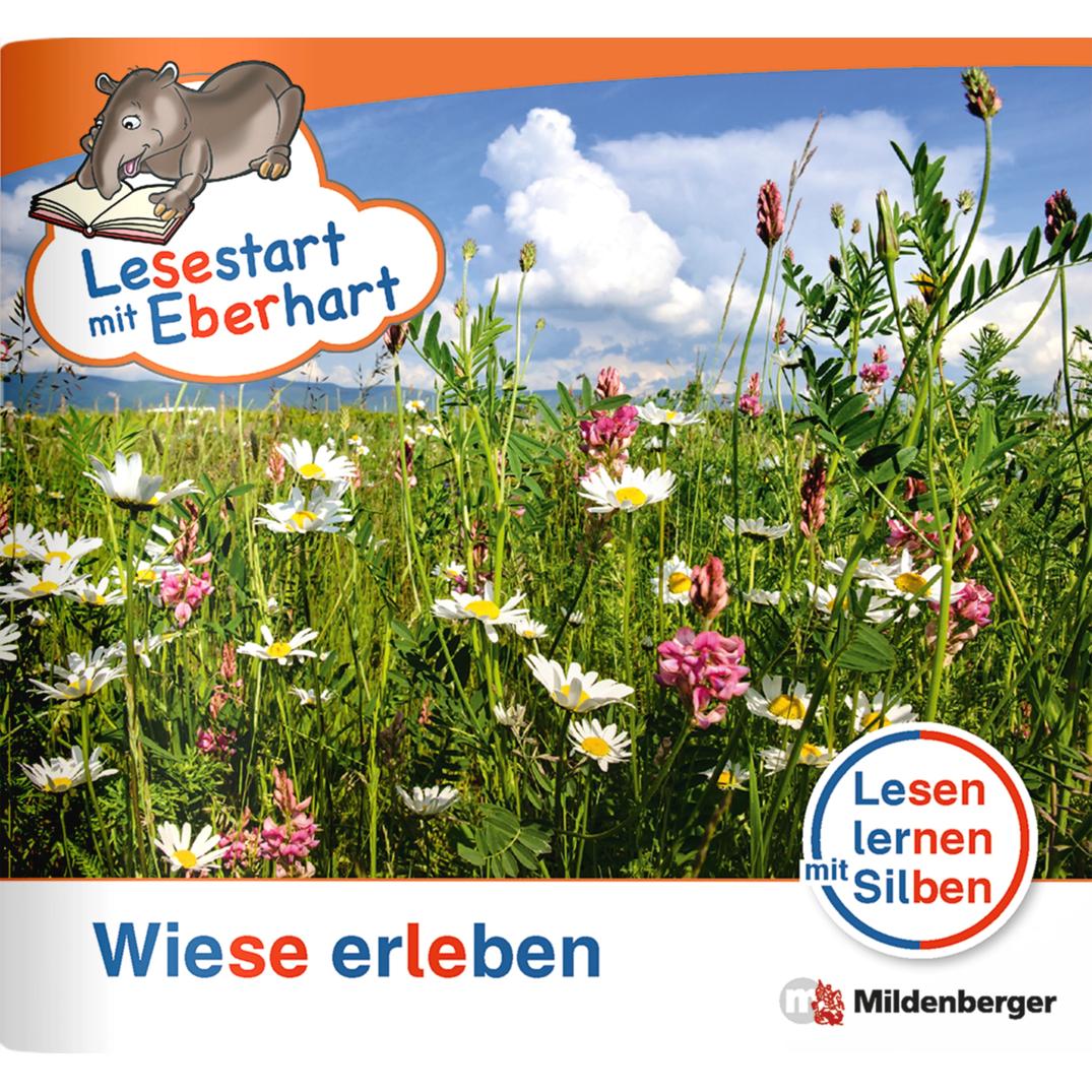 Lesestart mit Eberhart.LS2.02 Wiese erl, Schulbücher von Stefanie Drecktrah