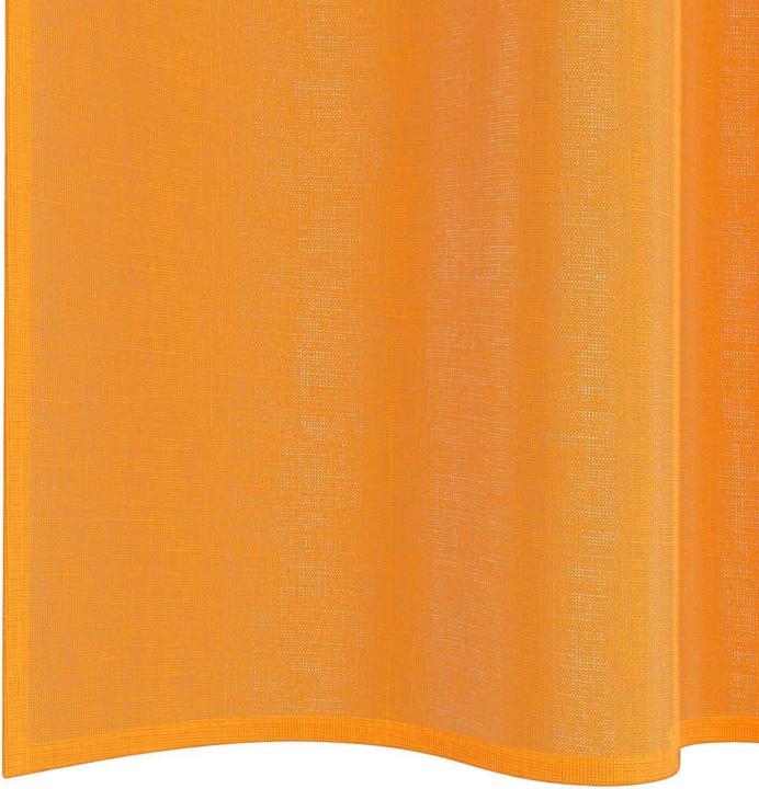 Actual product image vidaXL Voile Vorhang (140 x 245 cm)
