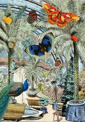 Produktbild Madame Treacle B6 Karte mit Umschlag Schmetterlinge und Palmen