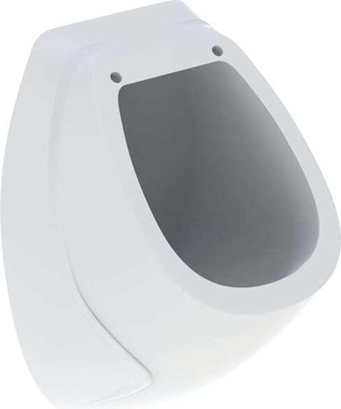 Actual product image Geberit Keramag Corso Urinal 239200