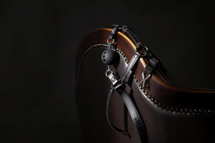 Produktbild Ouch! Head Harness