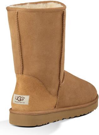Actual product image Ugg Classic Short (40.5)