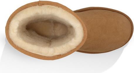 Actual product image Ugg Classic Short (40.5)