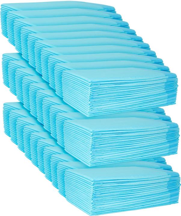 Actual product image Ideoon Trainingspads 600 Stück für Hunde, Welpenunterlage, 5-lagig, auslaufsicher, 60 x 60 cm (Dog)