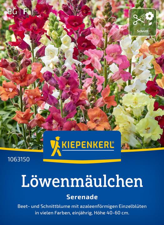 Produktbild Kiepenkerl Löwenmäulchen Serenade (Blumensamen)