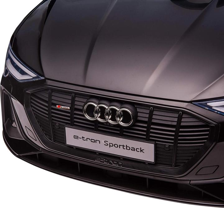 Image du produit Jamb Audi e-tron