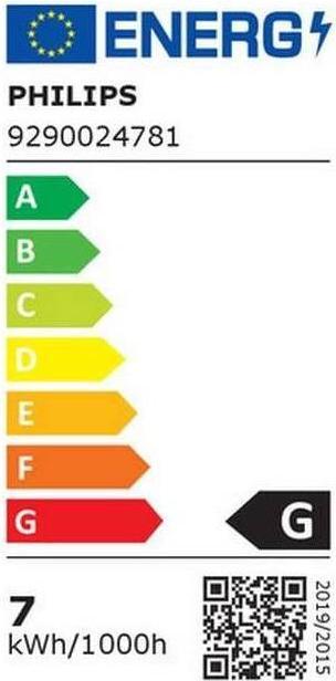 Energie-Label Philips Hue Philips E27 Einzelpack Giant Globe (E27, 7 W, 550 lm, 1 x, G)