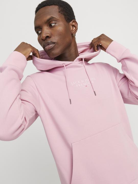 Produktbild Jack & Jones Jprbluarchie Sweat Hood Noos (XL)
