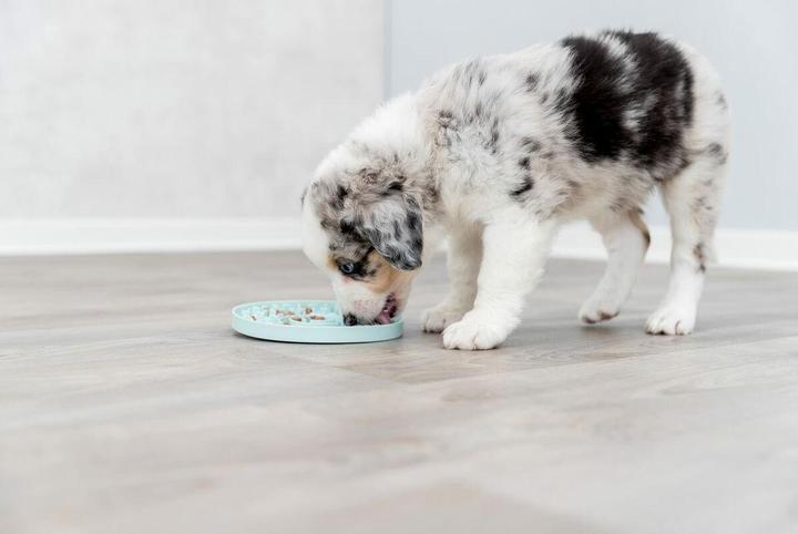 Produktbild Trixie Junior Schleckplatte (Snackbeutel Hund)