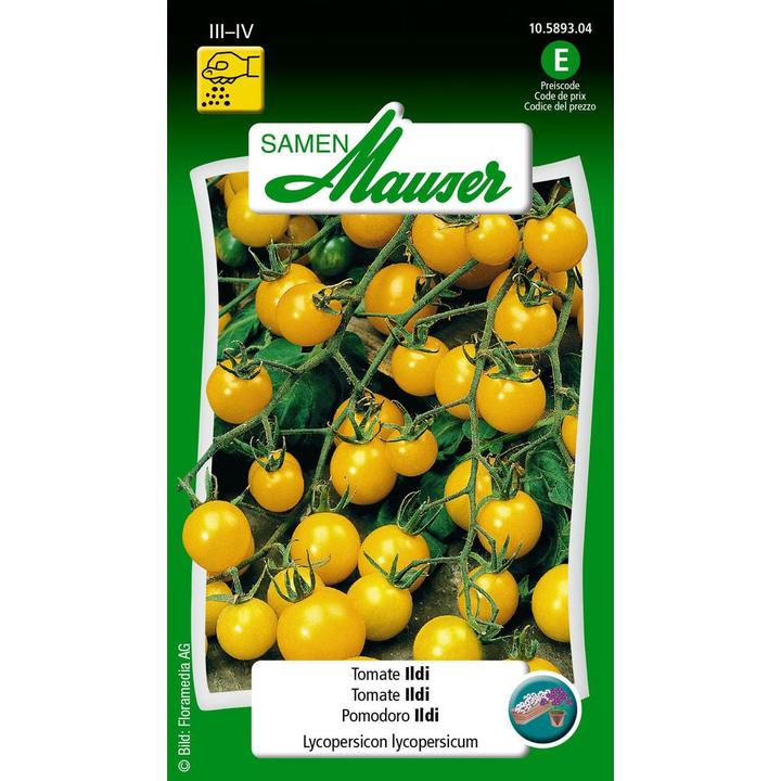 Produktbild Samen Mauser Ildi (Gemüsesamen)