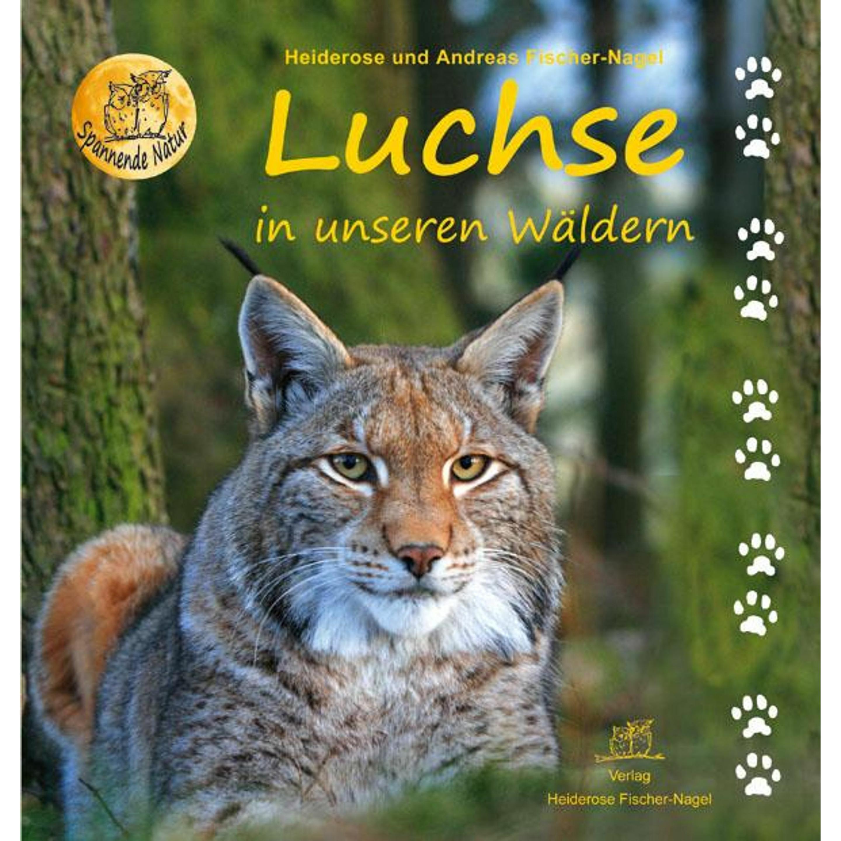 Thumbnail - Luchse in unseren Wäldern, Sachbücher von Andreas Fischer-Nagel