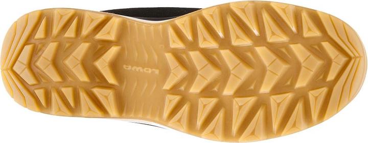 Image du produit Lowa Ottawa Evo GTX (41)
