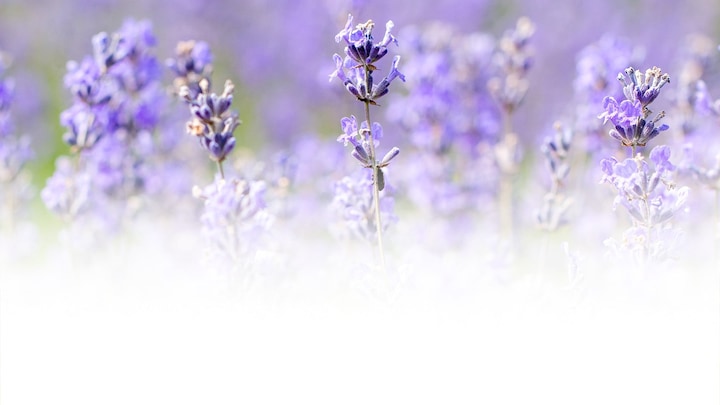 Immagine prodotto Weleda Bagno rilassante alla lavanda (200 ml, Oli da bagno)
