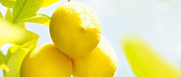Produktbild Weleda Citrus (200 ml)