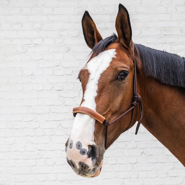 Immagine prodotto Kentucky Horsewear Cavezza in corda