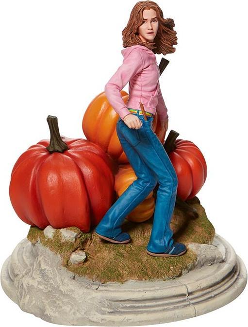 Wizarding World of Hermione with