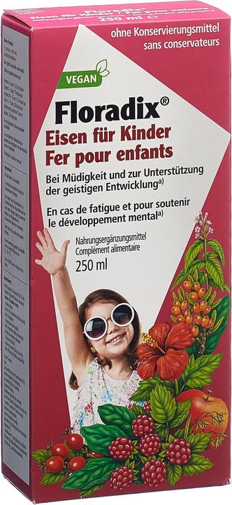 Produktbild Floradix Eisen für Kinder (1 Stück, Flüssigkeit, 606 g)