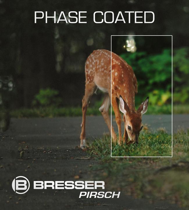 Actual product image Bresser Stalk 8x34 (8x, 34 mm)