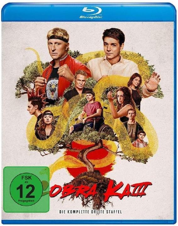 Actual product image Cobra Kai - Season 3 - BR (Blu-ray, 2022, German, English)