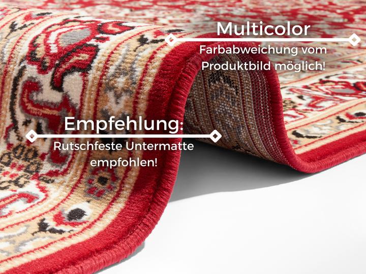Immagine prodotto Hanse Home Parun Tabriz (250 x 80 cm)