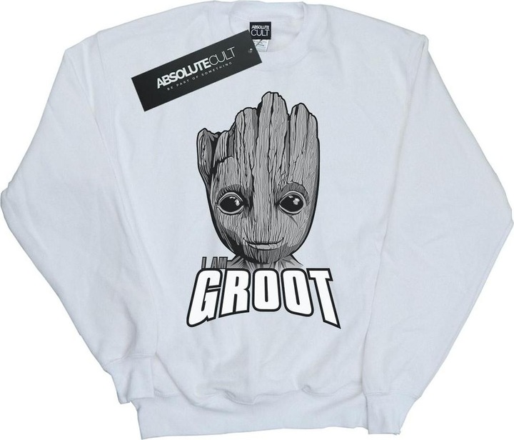 Image du produit - Sweat GUARDIANS OF THE GALAXY GROOT FACE - Fille (116)