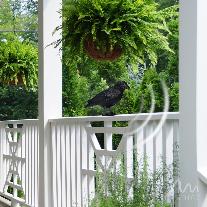 Actual product image Gardigo Bird repellent