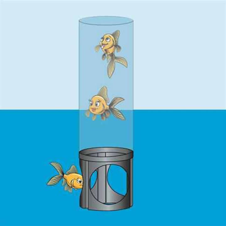 Image du produit Ubbink Zeke