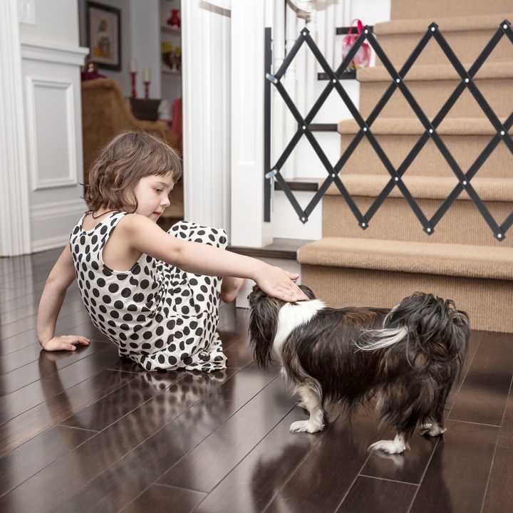 Immagine prodotto Relaxdays Barriera per cani (3 cm)