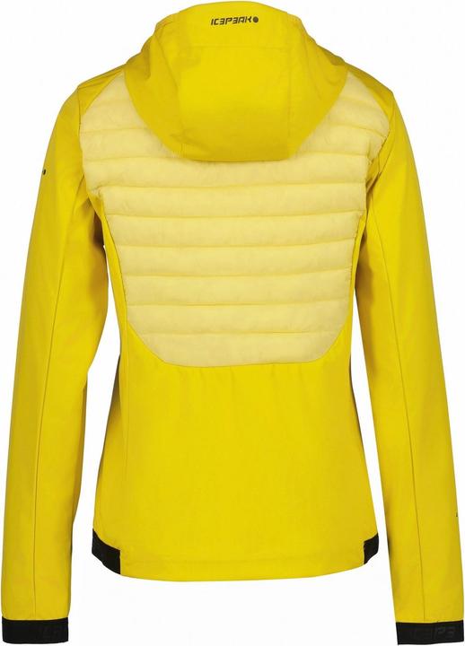 Image du produit Icepeak Deerton (44)