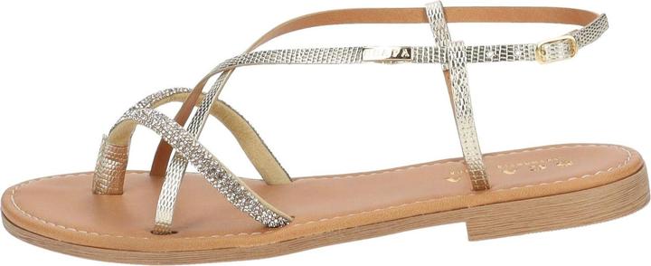 Actual product image Scapa Zehensteg (38)