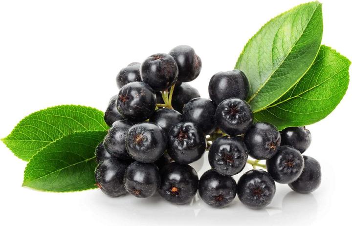 Immagine prodotto Kingnature Aronia Vida (100 Pezzo/i, Pillole, 60 g)