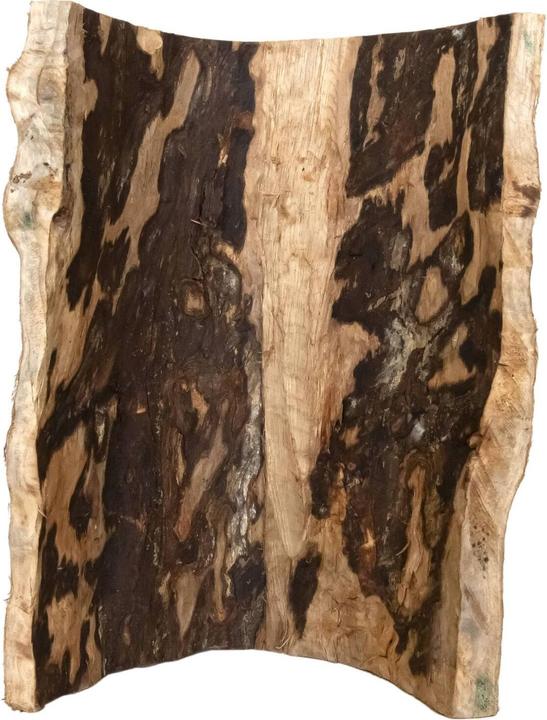 Actual product image Reptiles-Planet Treehouse Giant