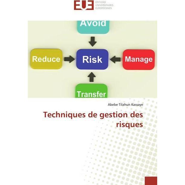 Techniques de gestion des risques, Ratgeber von Abebe Tilahun Kassaye