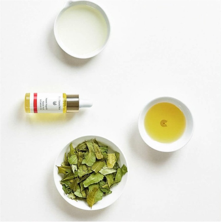 Image du produit Dr. Hauschka Neem (18 ml)