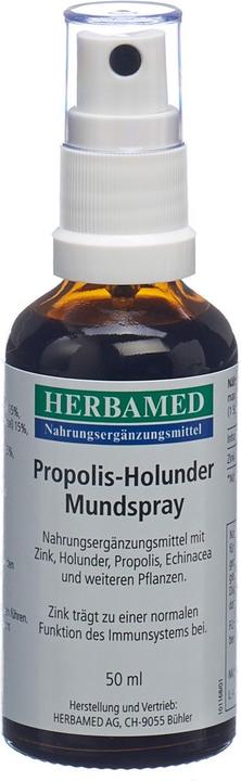 Herbamed Propolis-Holunder Mundspray (1 Piece, Spray, 114 g)