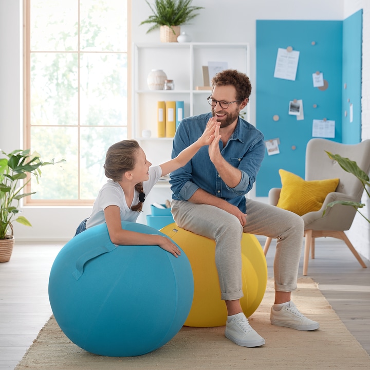 Immagine prodotto Leitz Palla per sedersi Ergo Cosy Active (65 cm)