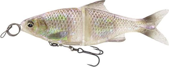 Immagine prodotto Savage Gear 3D Glide Roach (23 cm)