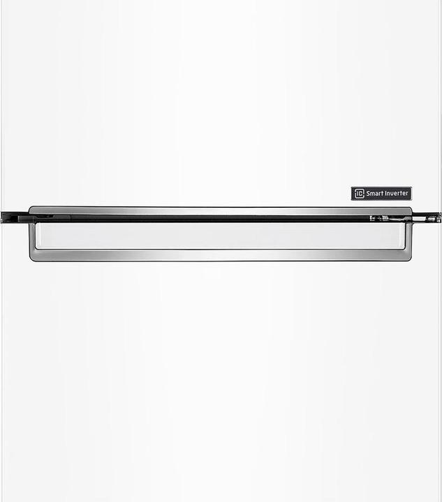 Actual product image LG REFRIGERATOR GBP31SWLZN () (342 l)