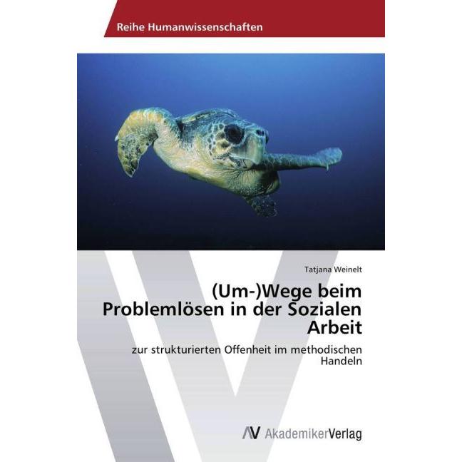 (Um-)Wege beim Problemlösen in der Sozialen Arbeit, Fachbücher