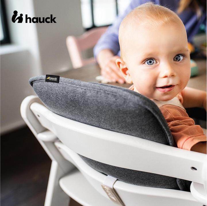 Produktbild Hauck Alpha Cosy Select Jersey Charcoal